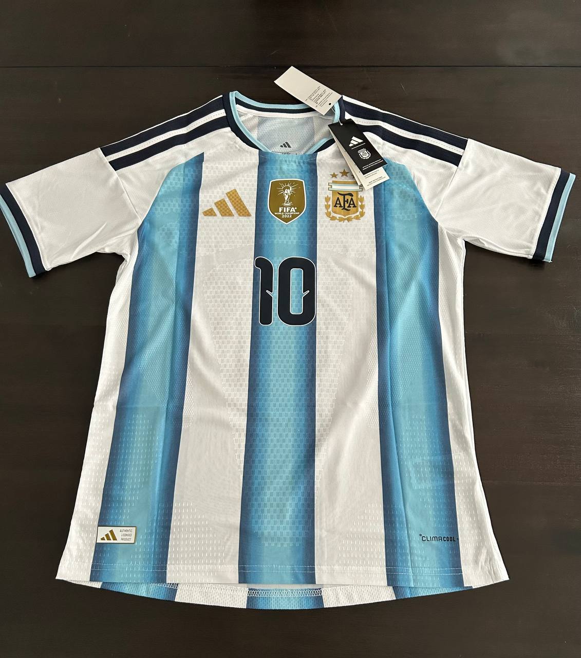 2026-27 Argentina Home Player Version